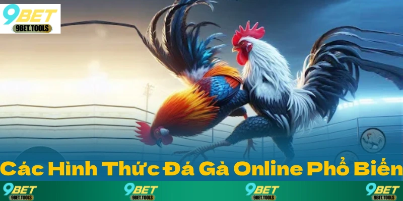 Các Hình Thức Đá Gà Online Phổ Biến Nhất Tại 9BET
